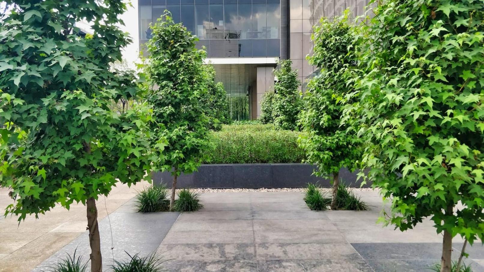 Luxurious High-Rise Hs Wifi, Amazing City Views Mexico City Ngoại thất bức ảnh